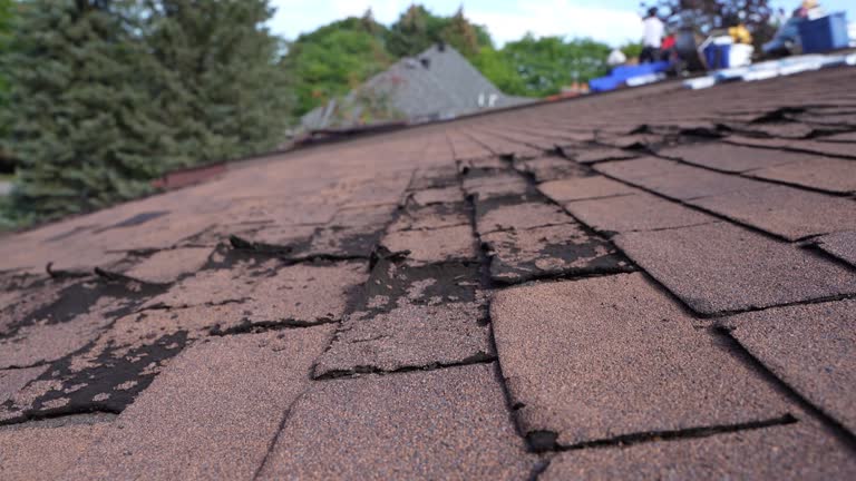 Best 4 Ply Roofing  in New Miami, OH